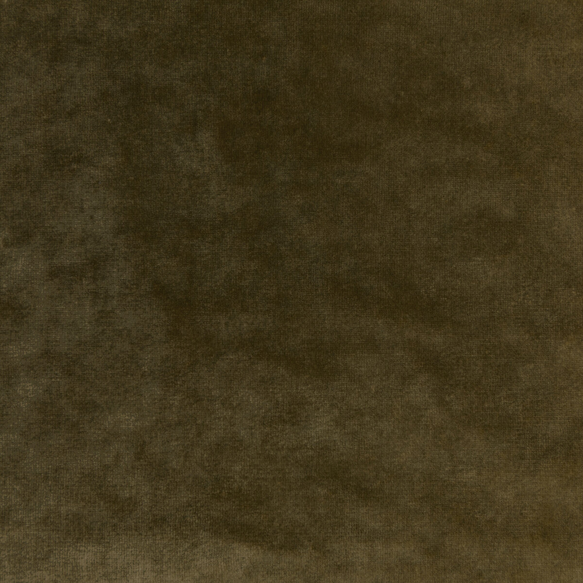KRAVET COUTURE REGAL VELVET OLIVE