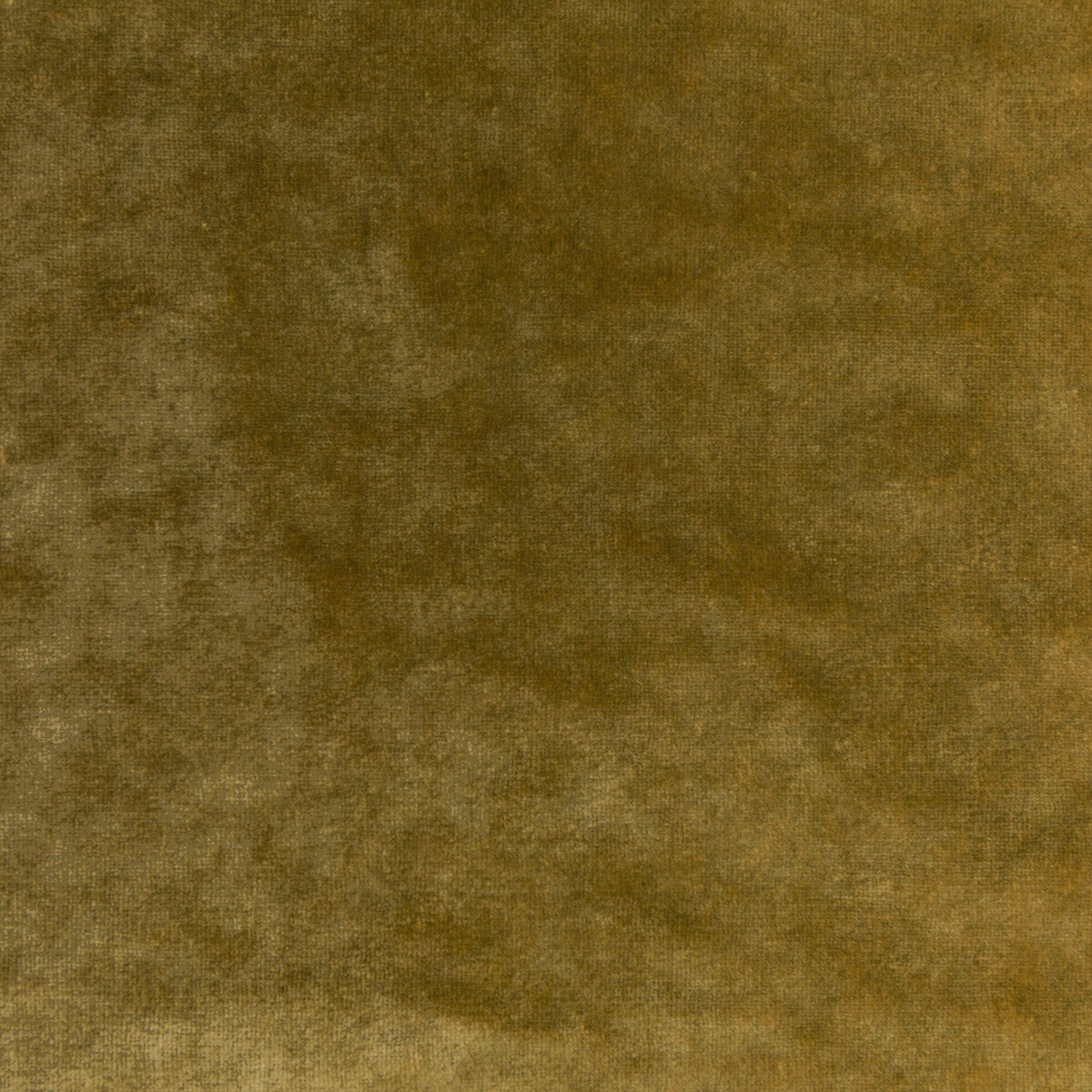 KRAVET COUTURE REGAL VELVET OCHRE