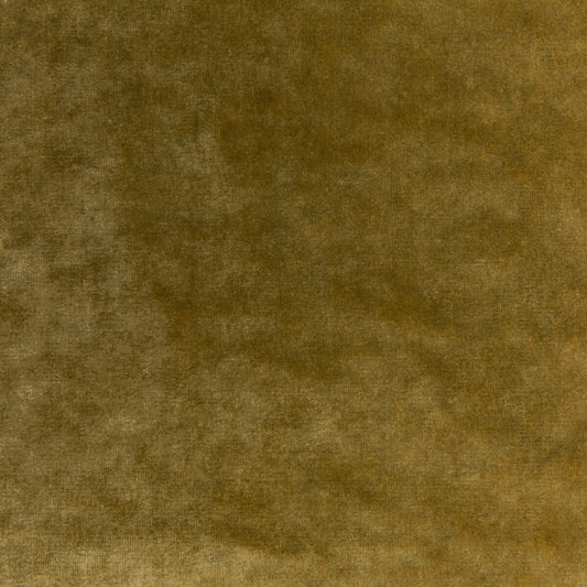KRAVET COUTURE REGAL VELVET OCHRE