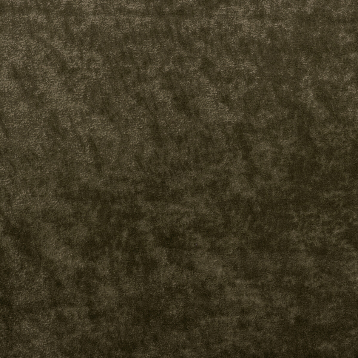 KRAVET COUTURE TRIUMPHANT TRUFFLE