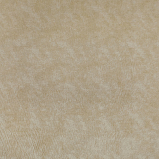 KRAVET COUTURE TRIUMPHANT CREME