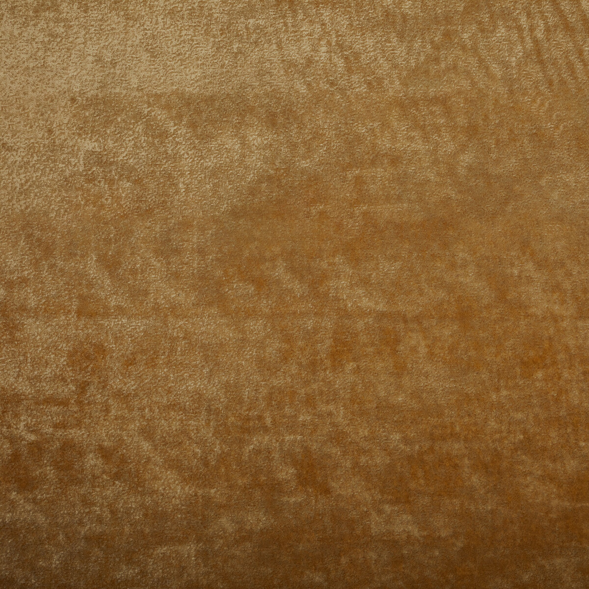 KRAVET COUTURE TRIUMPHANT TUSCAN