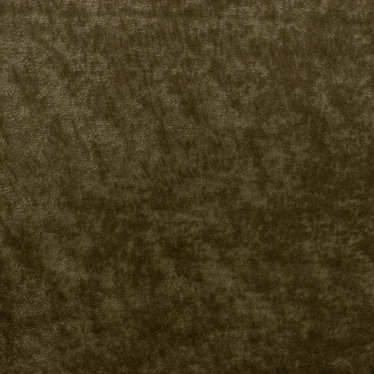 KRAVET COUTURE TRIUMPHANT OLIVE
