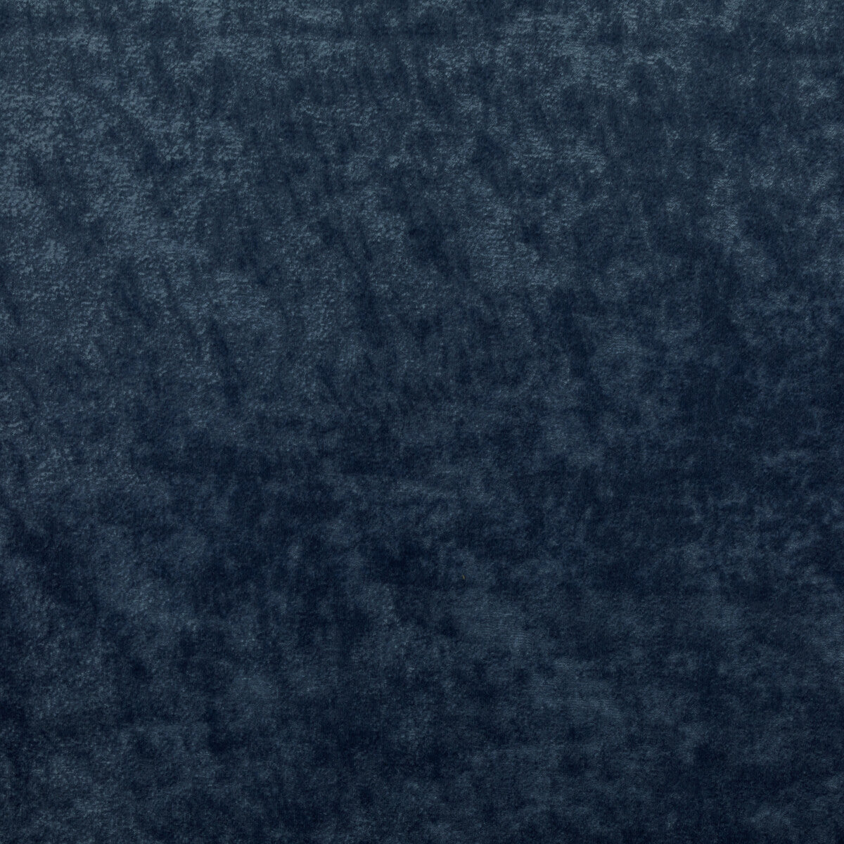 KRAVET COUTURE TRIUMPHANT ROYAL