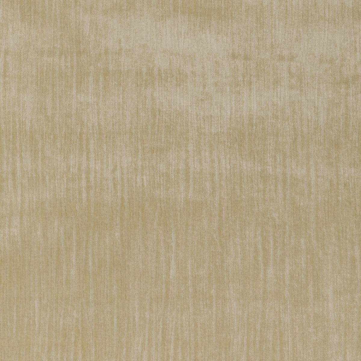 KRAVET COUTURE MAJESTY VELVET STONE