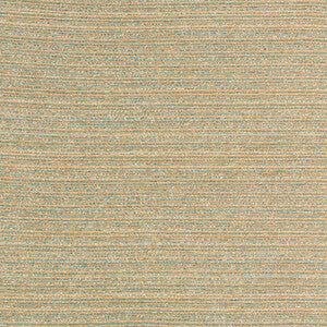 Kravet Design: 36079.113.0