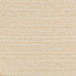 Kravet Design: 36079.161.0