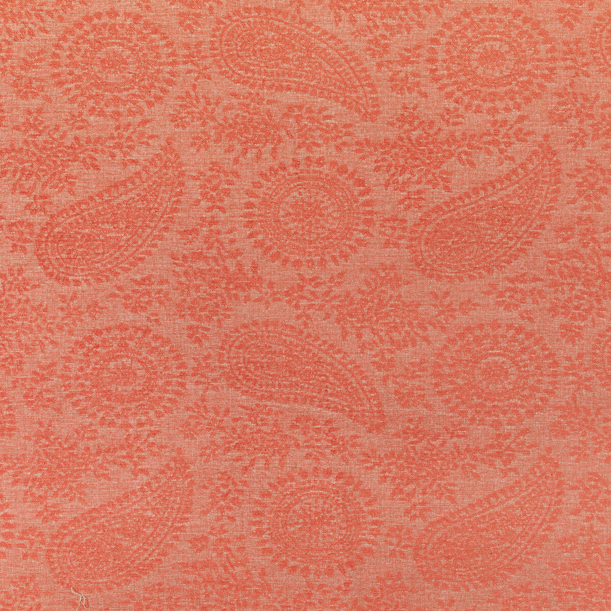 KRAVET CONTRACT WYLDER CORAL