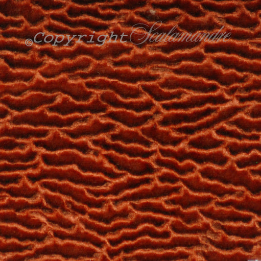 Scalamandre: Astrakhan CL 0009 36280 Paprika