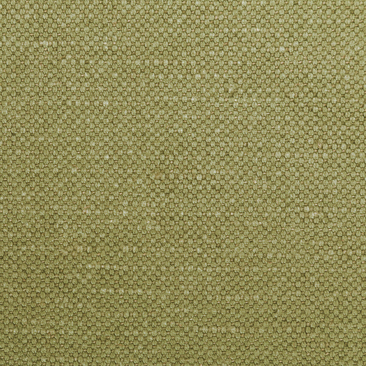 KRAVET BASICS CARSON DILL