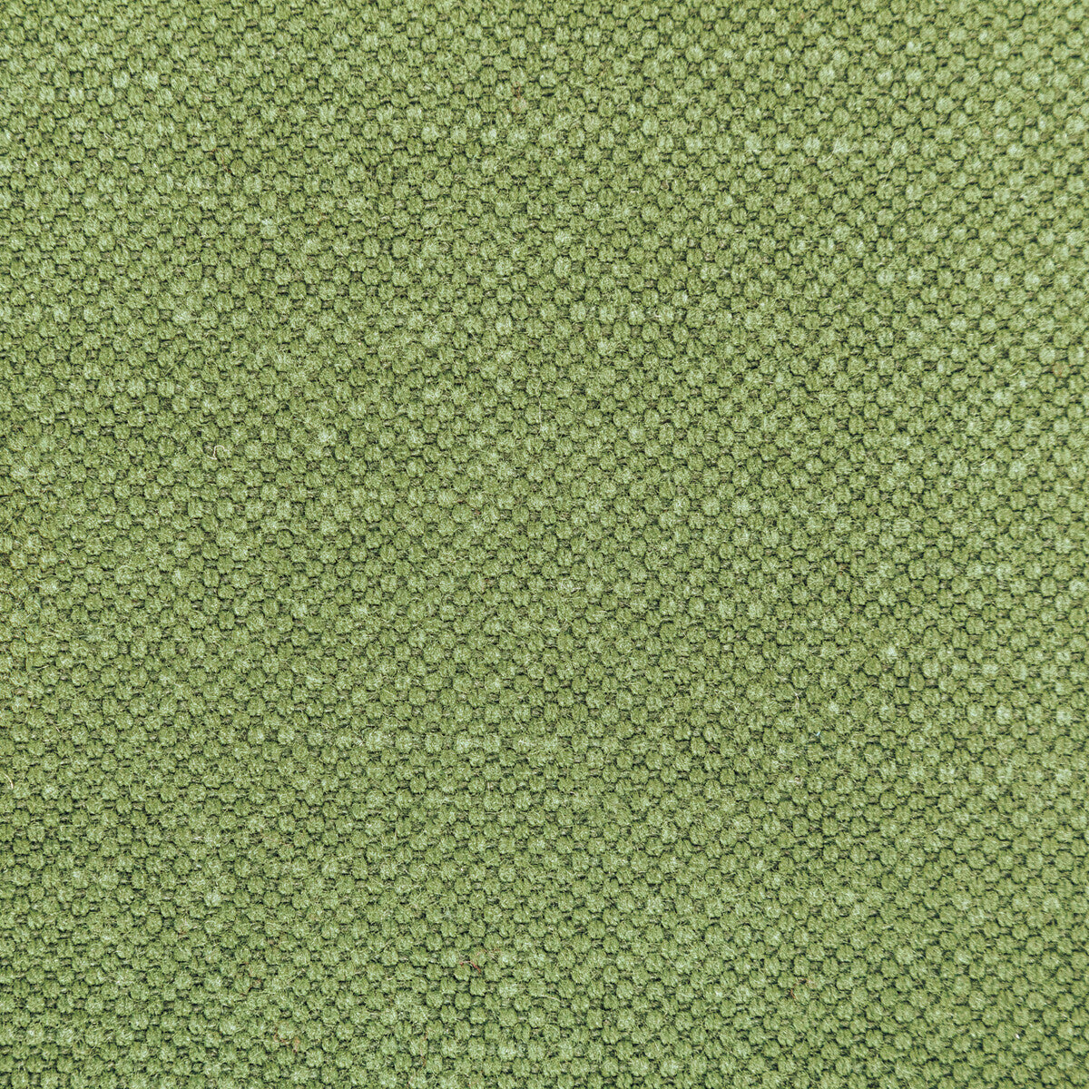 KRAVET BASICS CARSON FROG