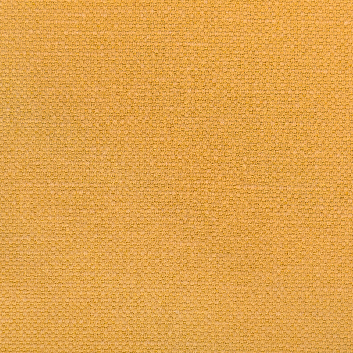 KRAVET BASICS CARSON HONEY