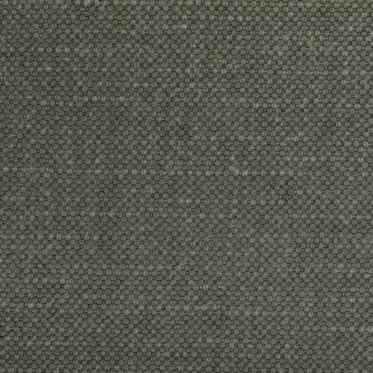 KRAVET BASICS CARSON DOLPHIN