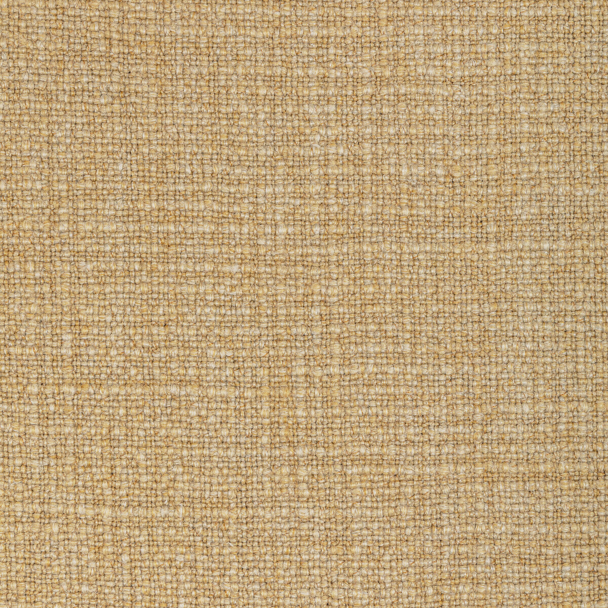 KRAVET COUTURE VENTURENO GOLD COAST