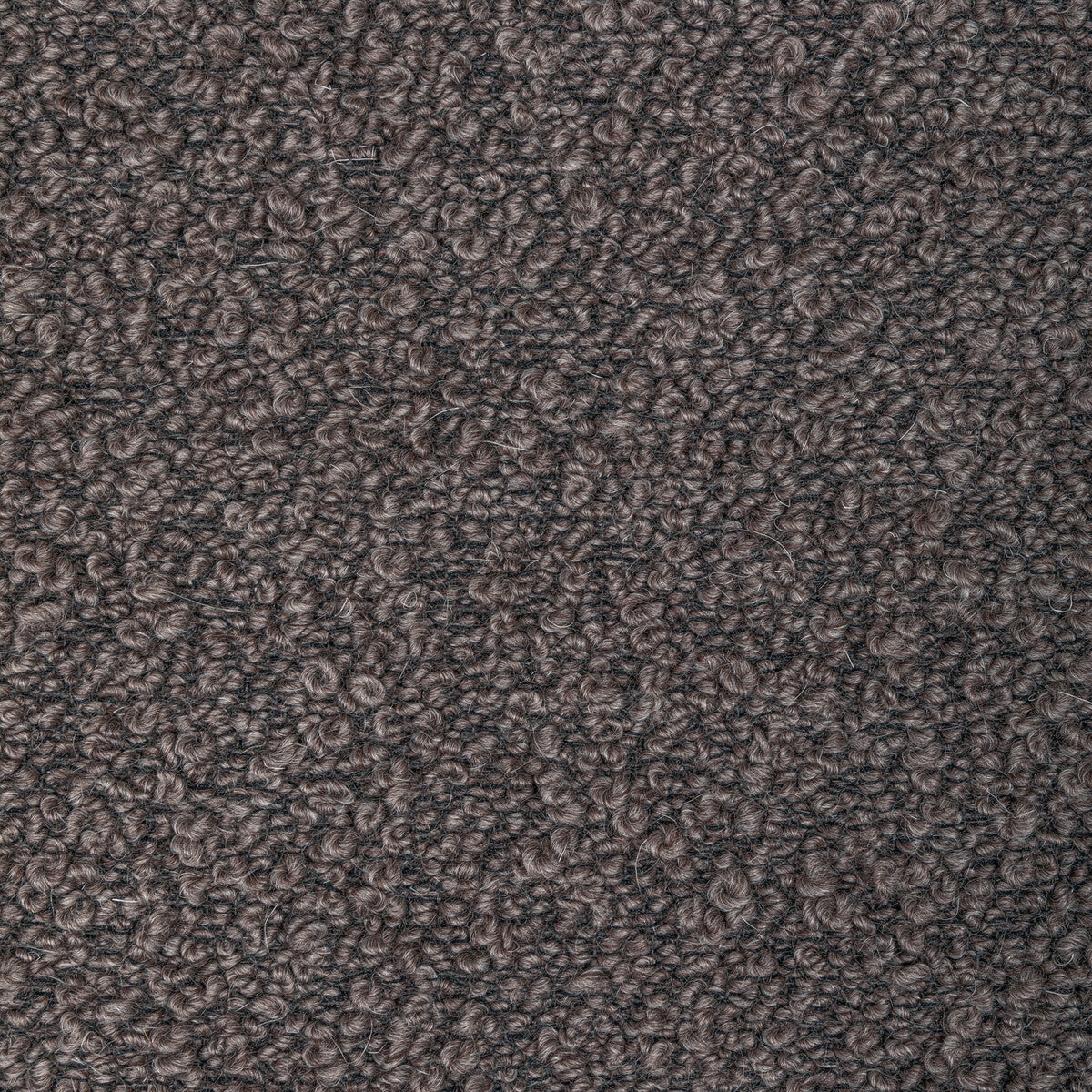 KRAVET COUTURE WOOLYWOOLY FIG