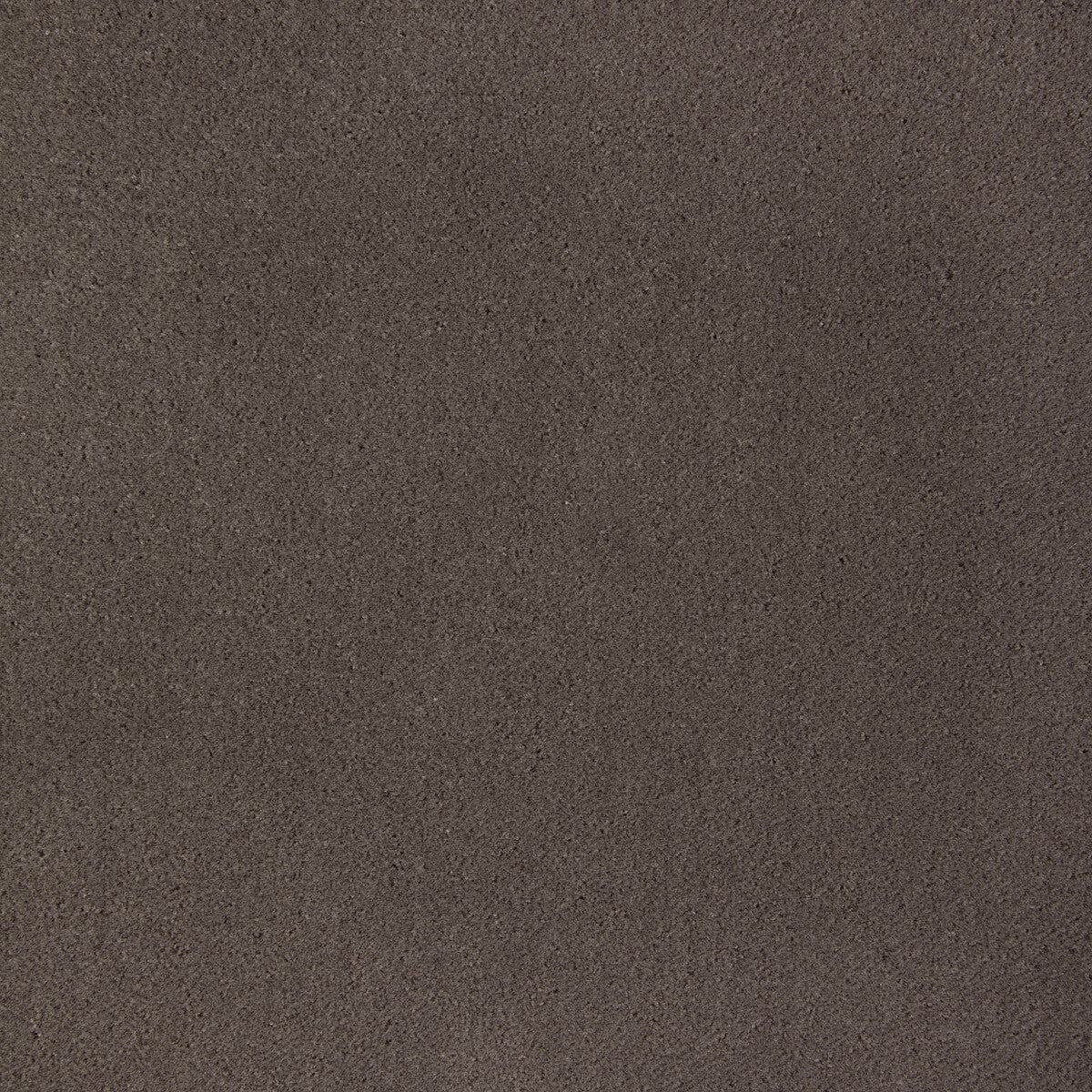 KRAVET CONTRACT FOMO MAJESTIC