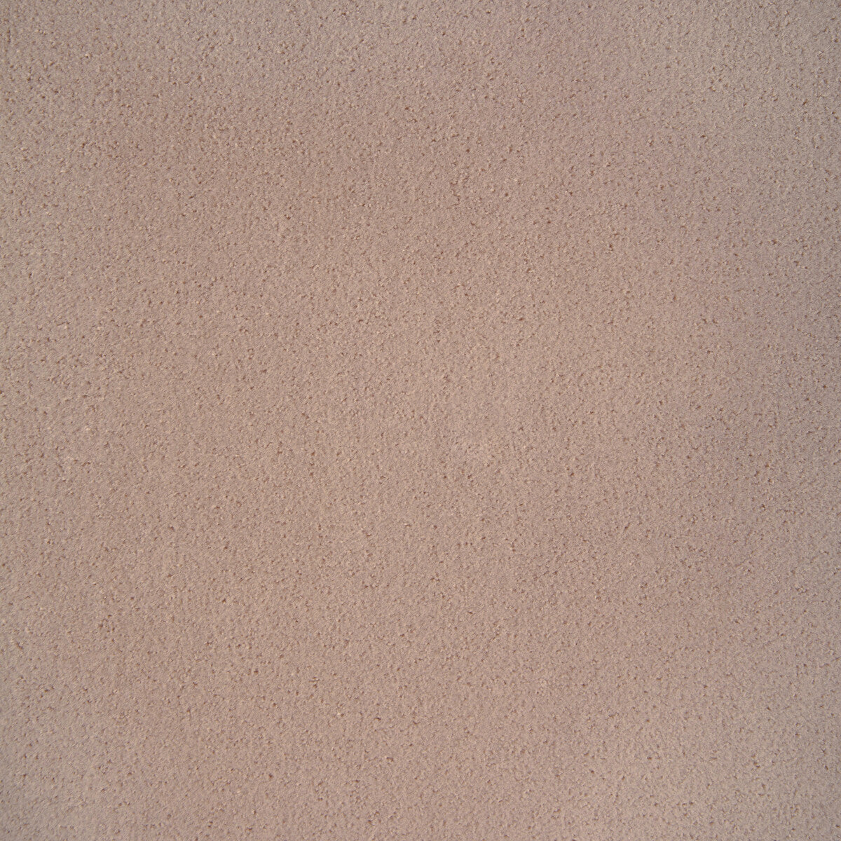 KRAVET CONTRACT FOMO ORCHID