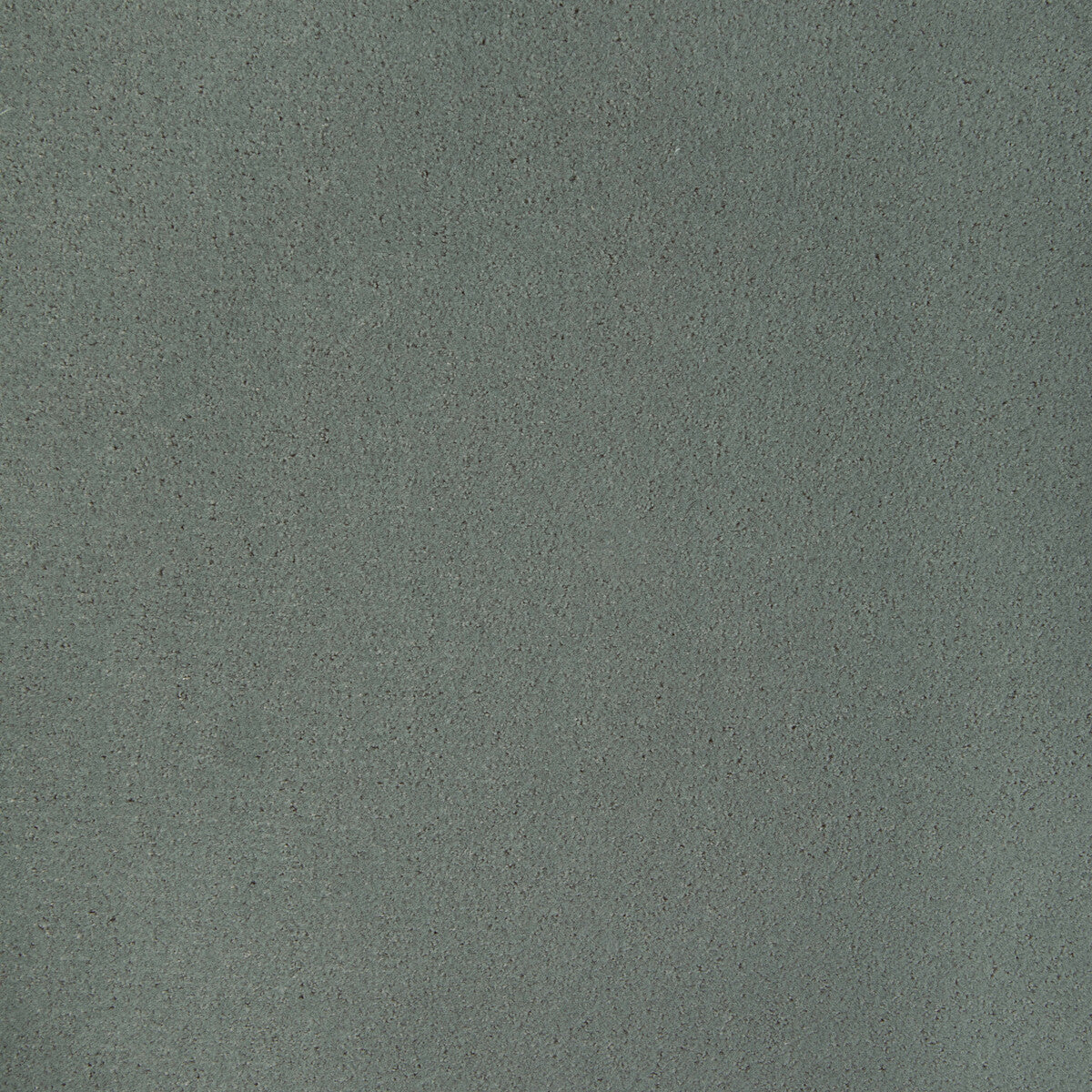 KRAVET CONTRACT FOMO KOALA