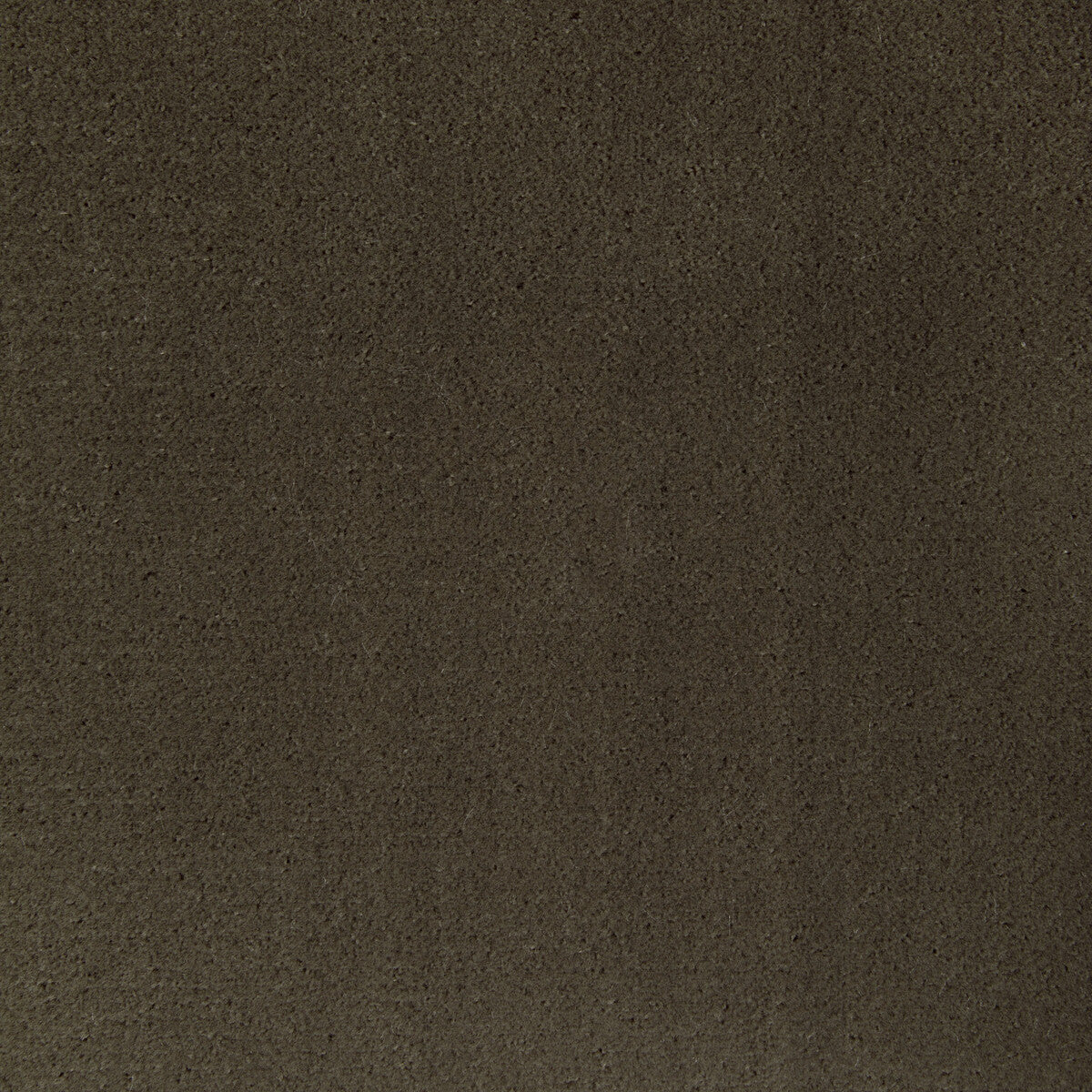KRAVET CONTRACT FOMO ETRUSCAN