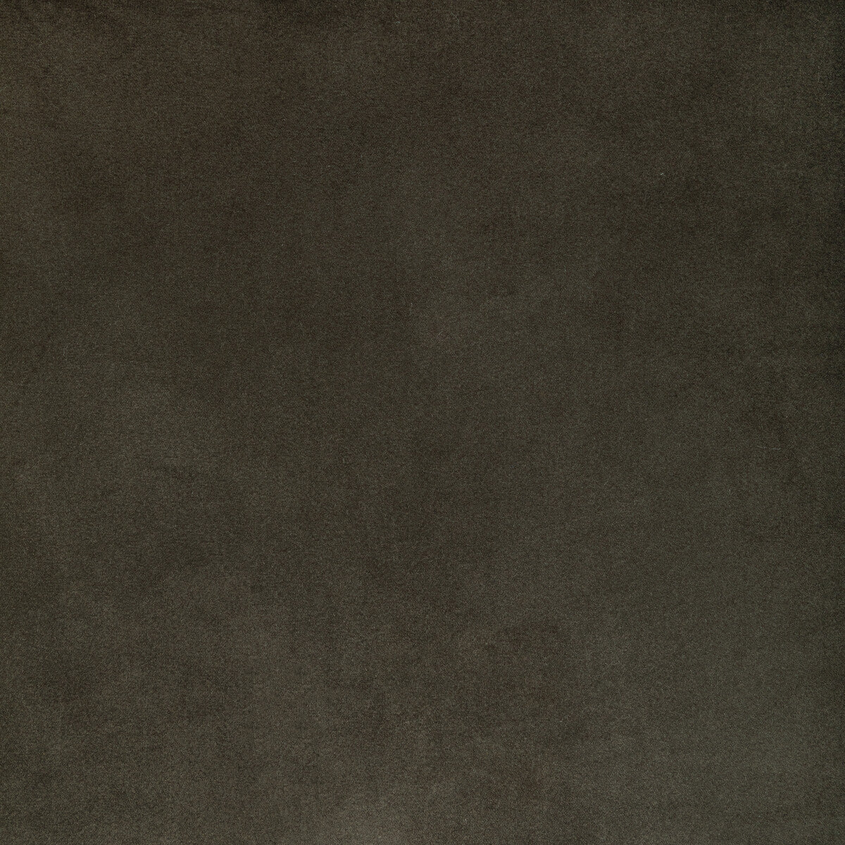KRAVET CONTRACT ROCCO VELVET SEAL