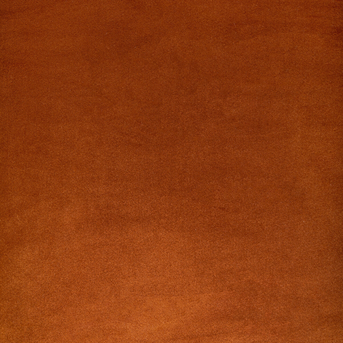 KRAVET CONTRACT ROCCO VELVET SPICE