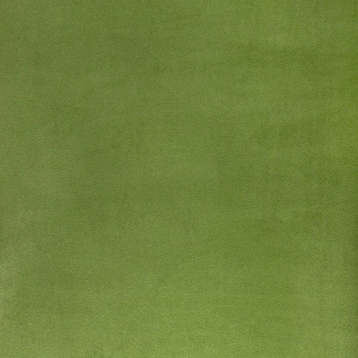 KRAVET CONTRACT ROCCO VELVET CACTUS