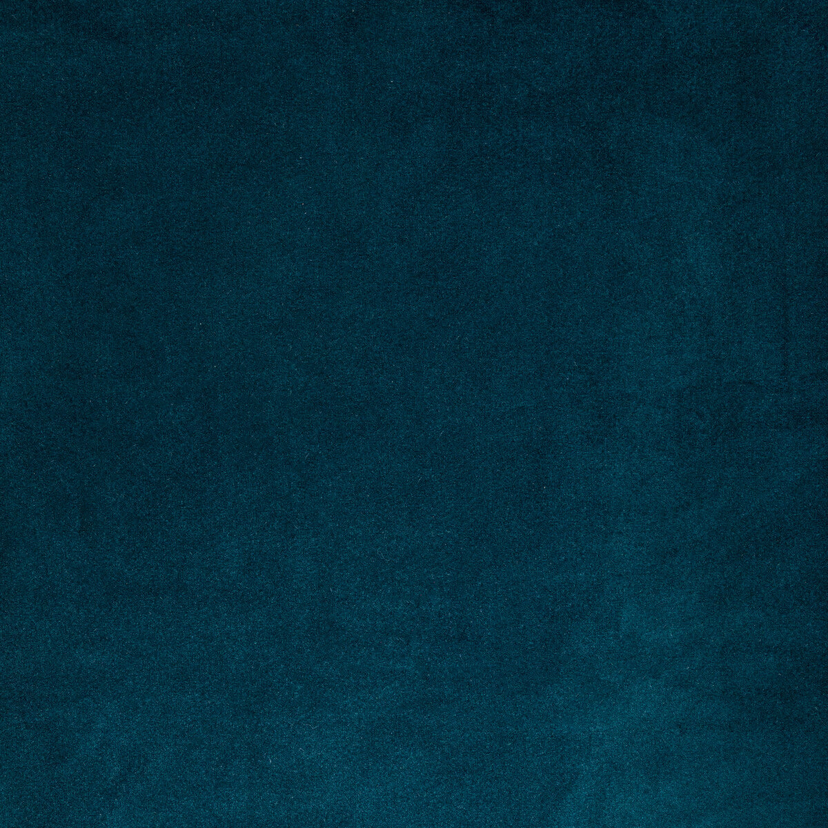 KRAVET CONTRACT ROCCO VELVET INK