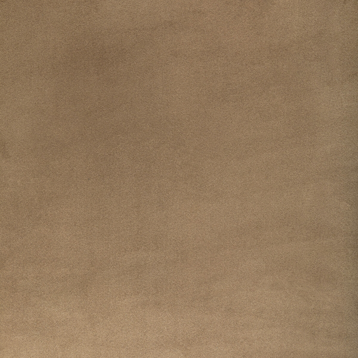 KRAVET CONTRACT ROCCO VELVET DUNE