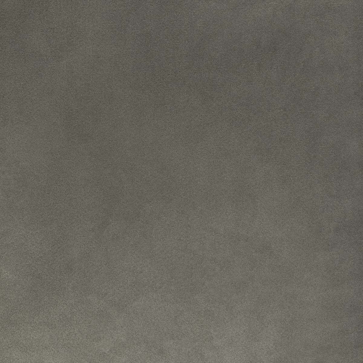 KRAVET CONTRACT ROCCO VELVET ANISE