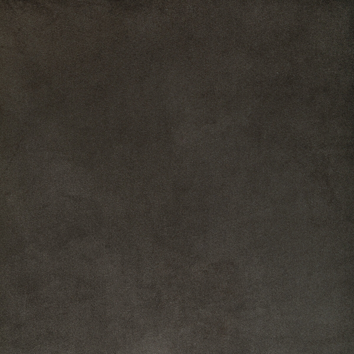 KRAVET CONTRACT ROCCO VELVET SHADOW