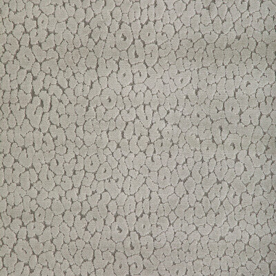 Candice Olson for Kravet: Instinctive 36763.11.0 Taupe