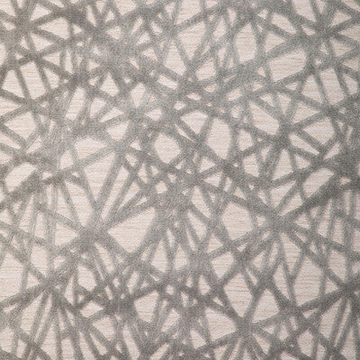 Candice Olson for Kravet: Line Dancing 36816.11.0 Dove