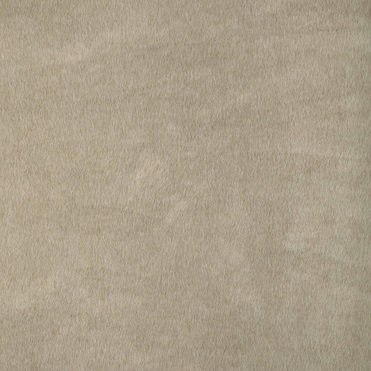 KRAVET BASICS KRAVET BASICS 36897-16
