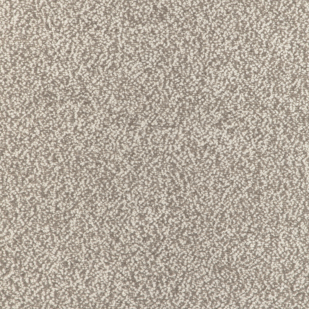 KRAVET COUTURE ALPACA BOUCLE FAWN