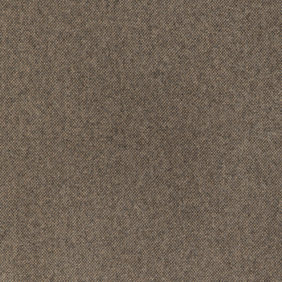 KRAVET CONTRACT MANCHESTER WOOL BISCOTTI