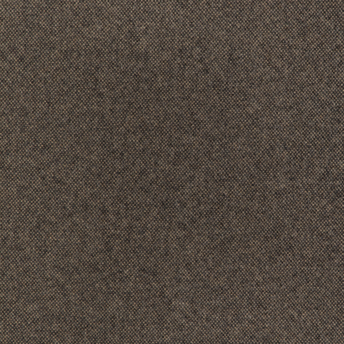 KRAVET CONTRACT MANCHESTER WOOL JAVA