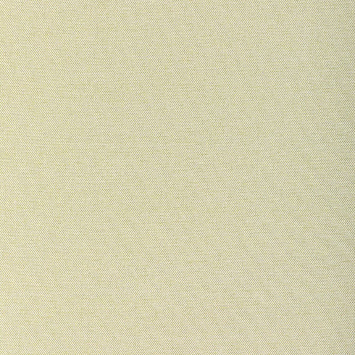 KRAVET COUTURE SOFTGROUND CACTUS