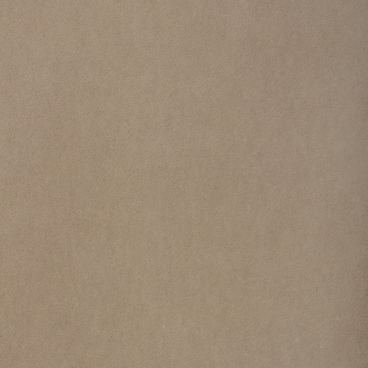 KRAVET CONTRACT TEMPO OYSTER
