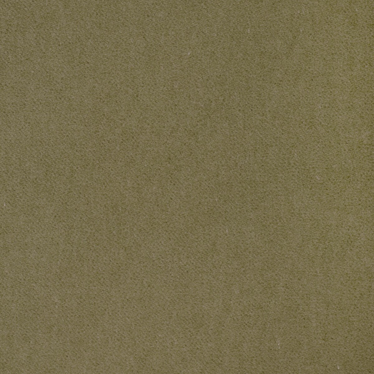 KRAVET CONTRACT TEMPO PEAR