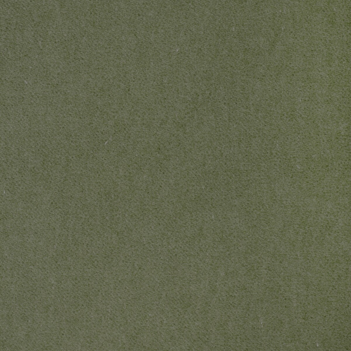 KRAVET CONTRACT TEMPO PISTACHIO