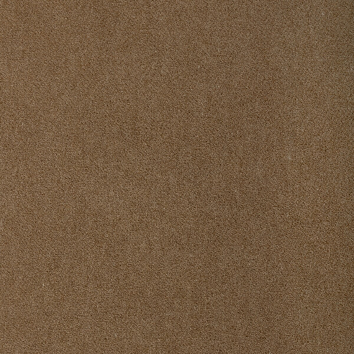 KRAVET CONTRACT TEMPO BRULEE