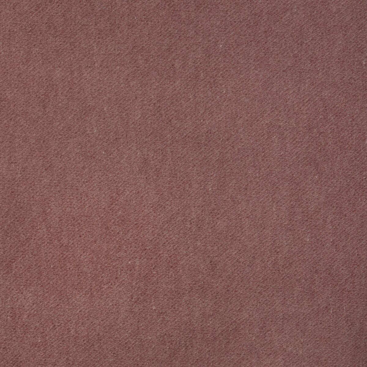 KRAVET CONTRACT TEMPO ROSE QUARTZ