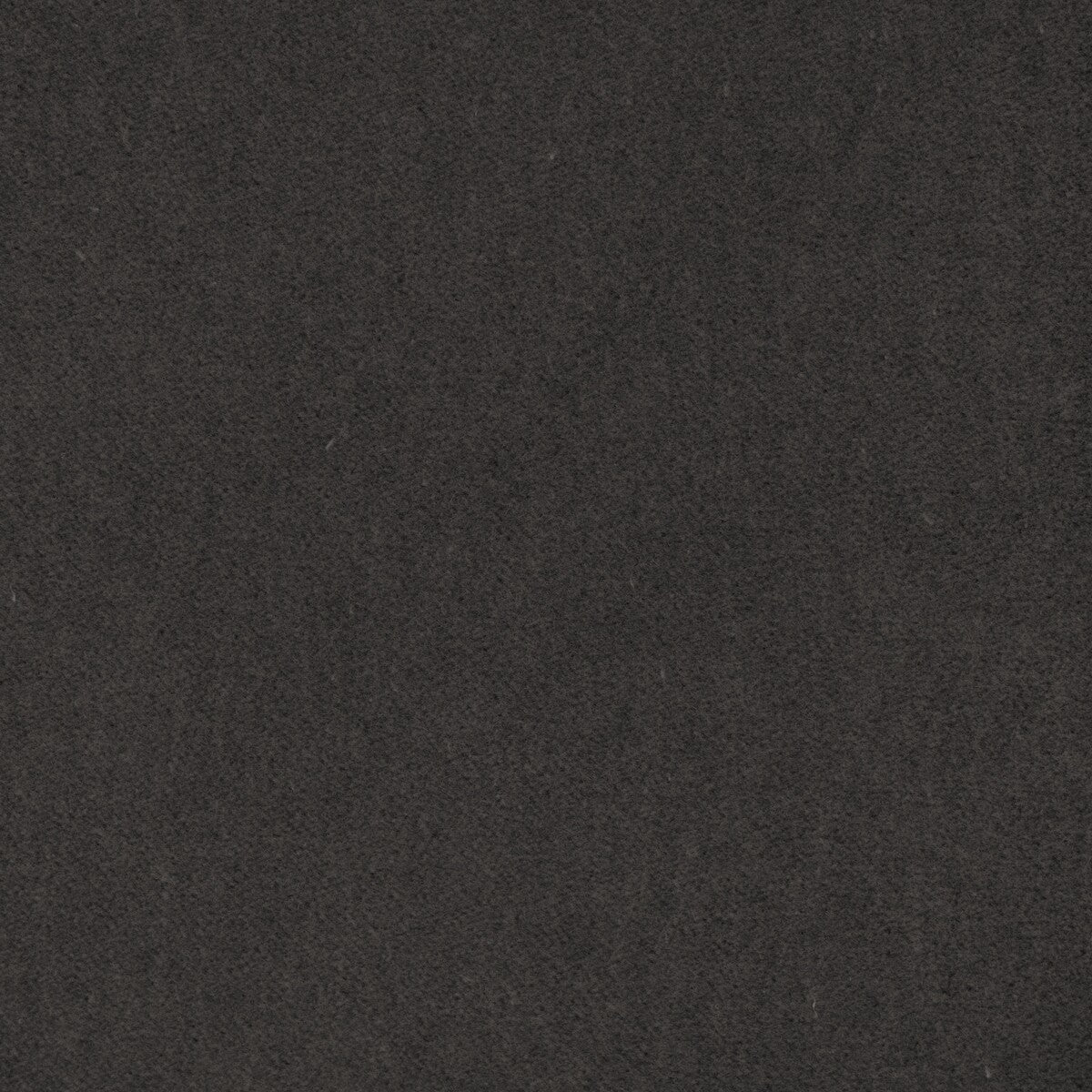 KRAVET CONTRACT TEMPO GRAPHITE