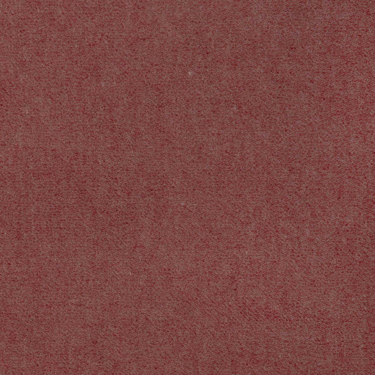 KRAVET CONTRACT TEMPO PETAL