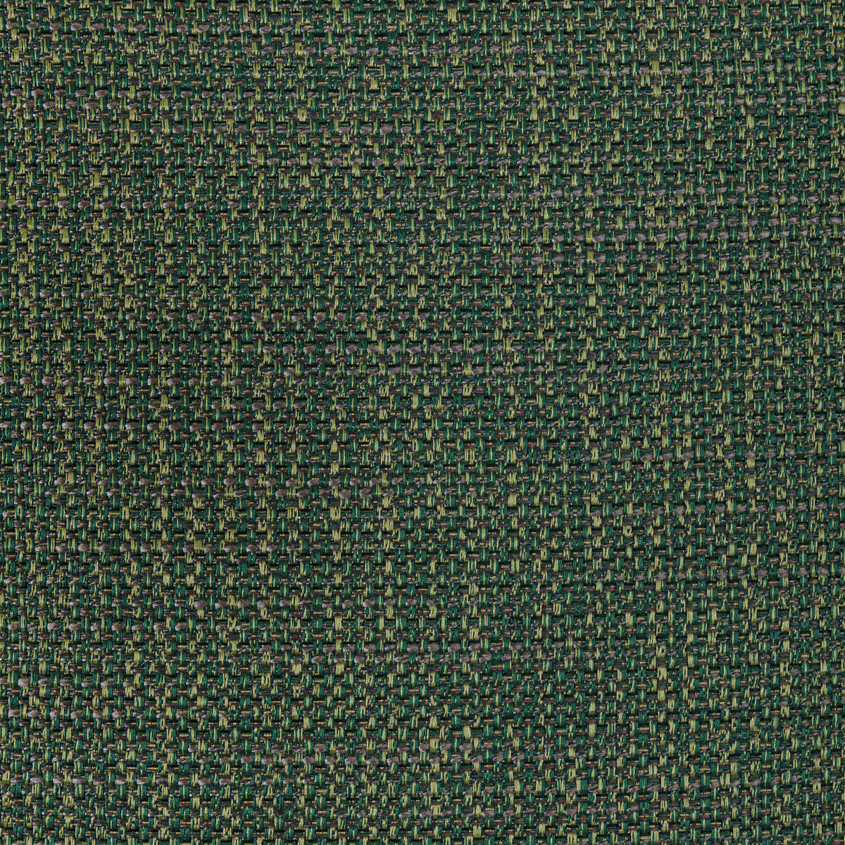 KRAVET CONTRACT LUMA TEXTURE FOREST