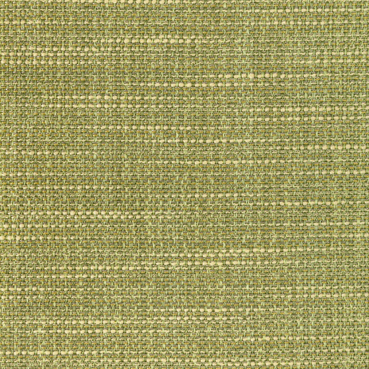 KRAVET CONTRACT LUMA TEXTURE CACTUS