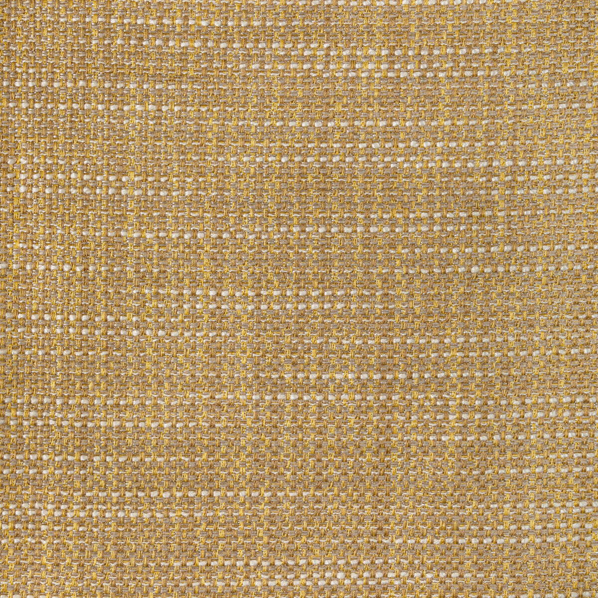 KRAVET CONTRACT LUMA TEXTURE BUTTERSCOTCH
