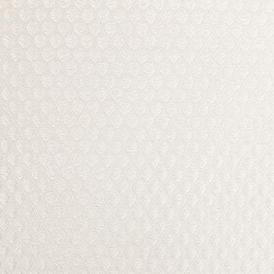Kravet: Perfect Catch 4950.1116.0 Pearl
