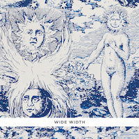 Schumacher: Modern Toile WP 5010421 Indigo