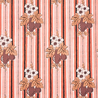 Schumacher: Turnip WP 5012911 Carnation